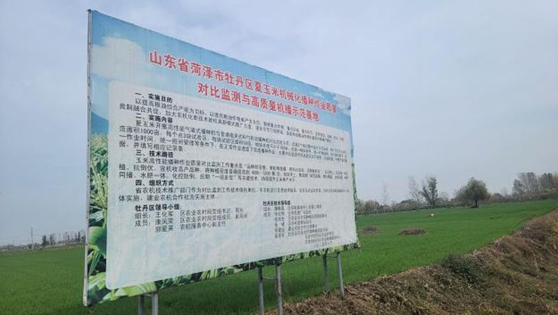 奥龙高性能小麦播种机播种效果获用户点赞