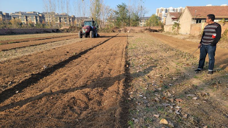 奥龙开垦dao旋耕机得到高唐农机手认可